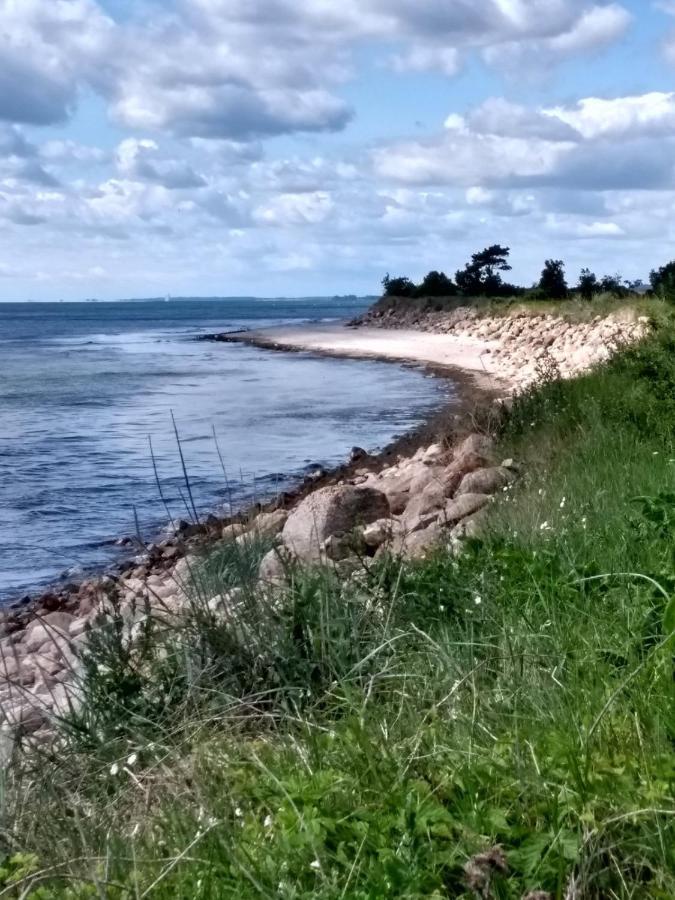 Ferienhaus Ostseeblick Ruegen ساسنيتز المظهر الخارجي الصورة