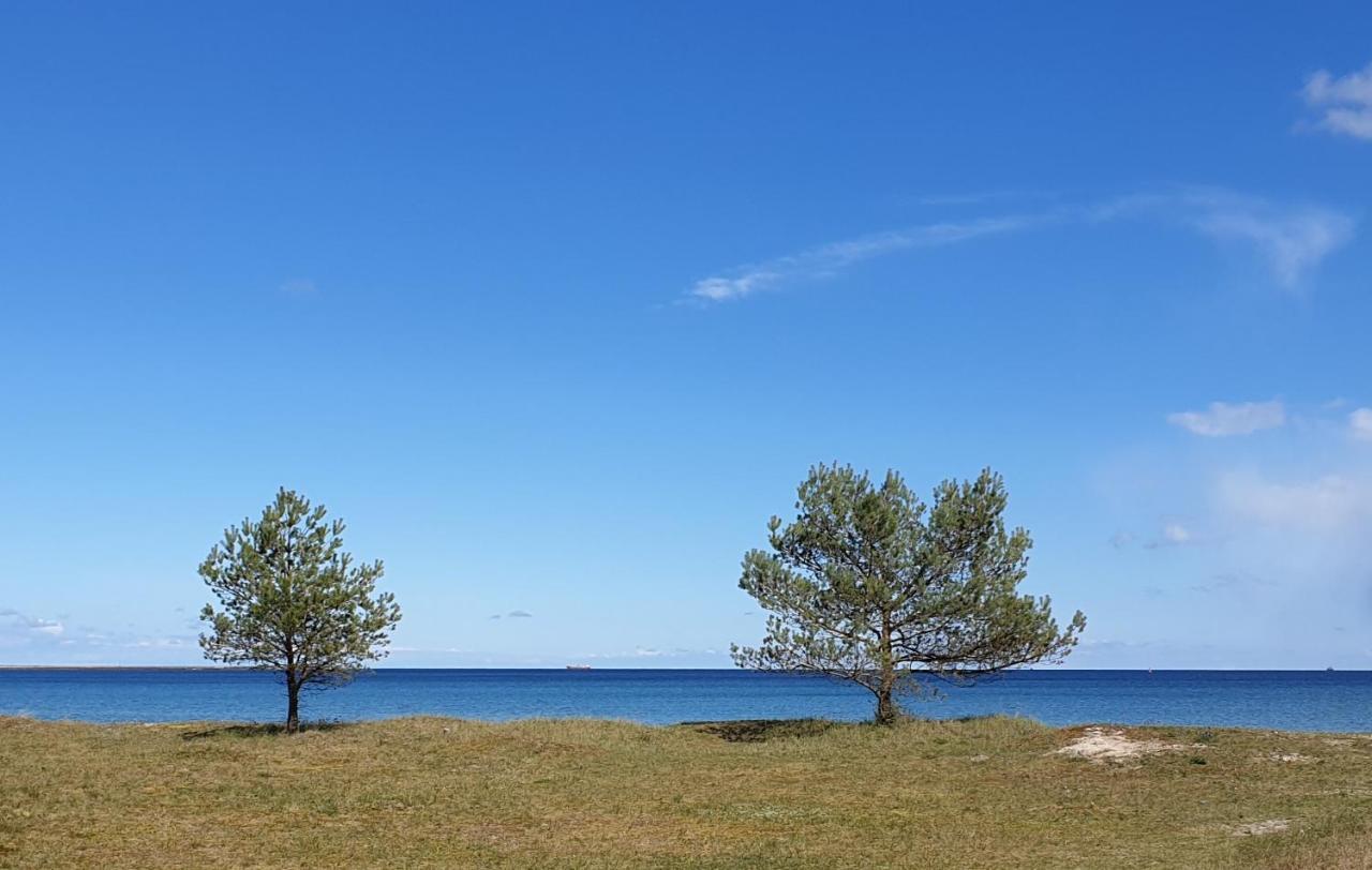 Ferienhaus Ostseeblick Ruegen ساسنيتز المظهر الخارجي الصورة